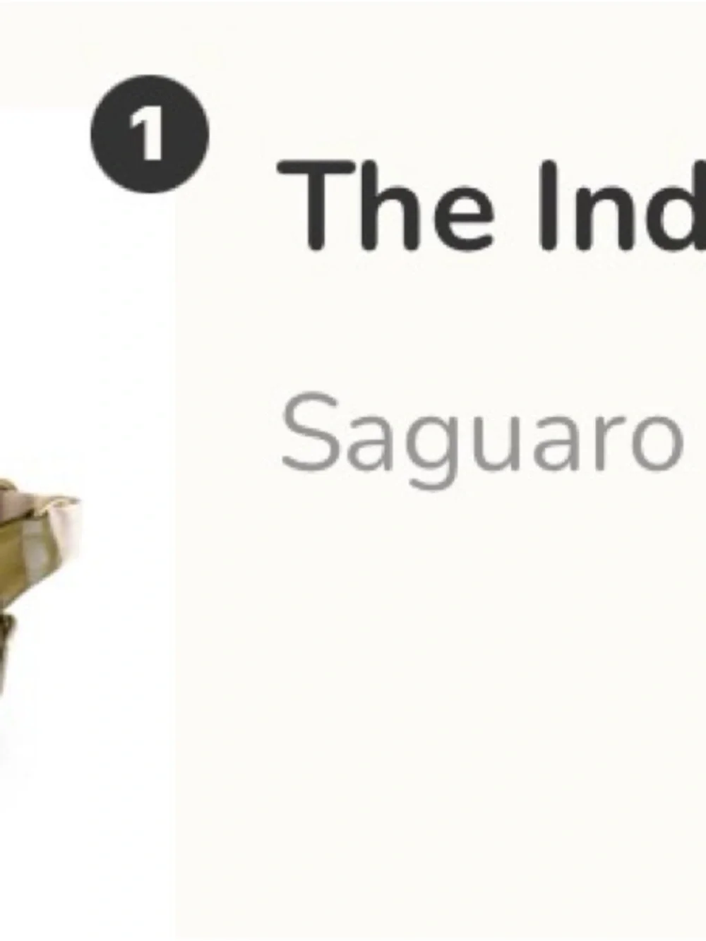 Andar: Saguaro Leather Crossbody Belt Bag